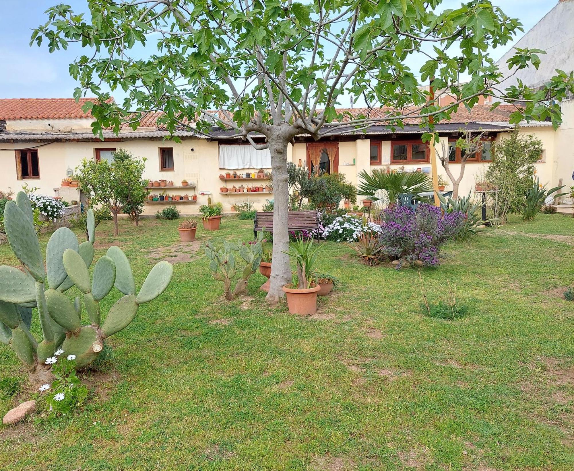 Garden Rooms 奧爾比亞 外观 照片